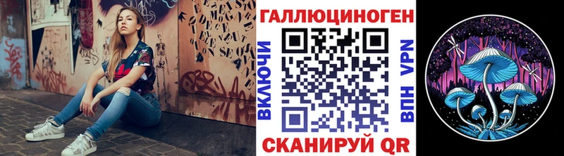 купить   MEGA вход  Галлюциногенные грибы Cubensis  Чухлома 